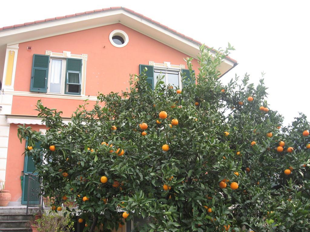 Le Clementine B&B Camogli Exterior foto
