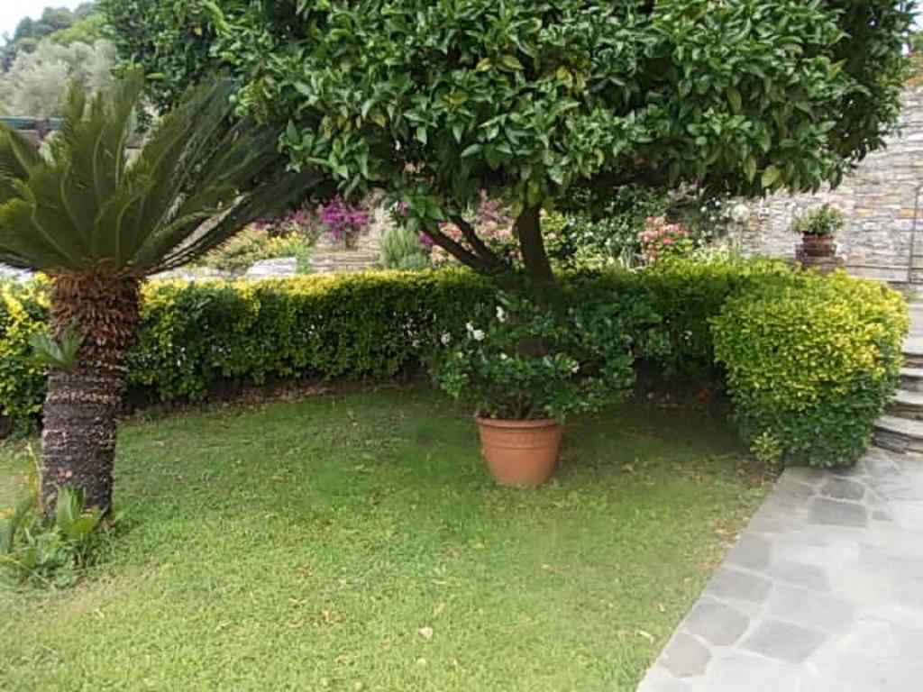 Le Clementine B&B Camogli Exterior foto