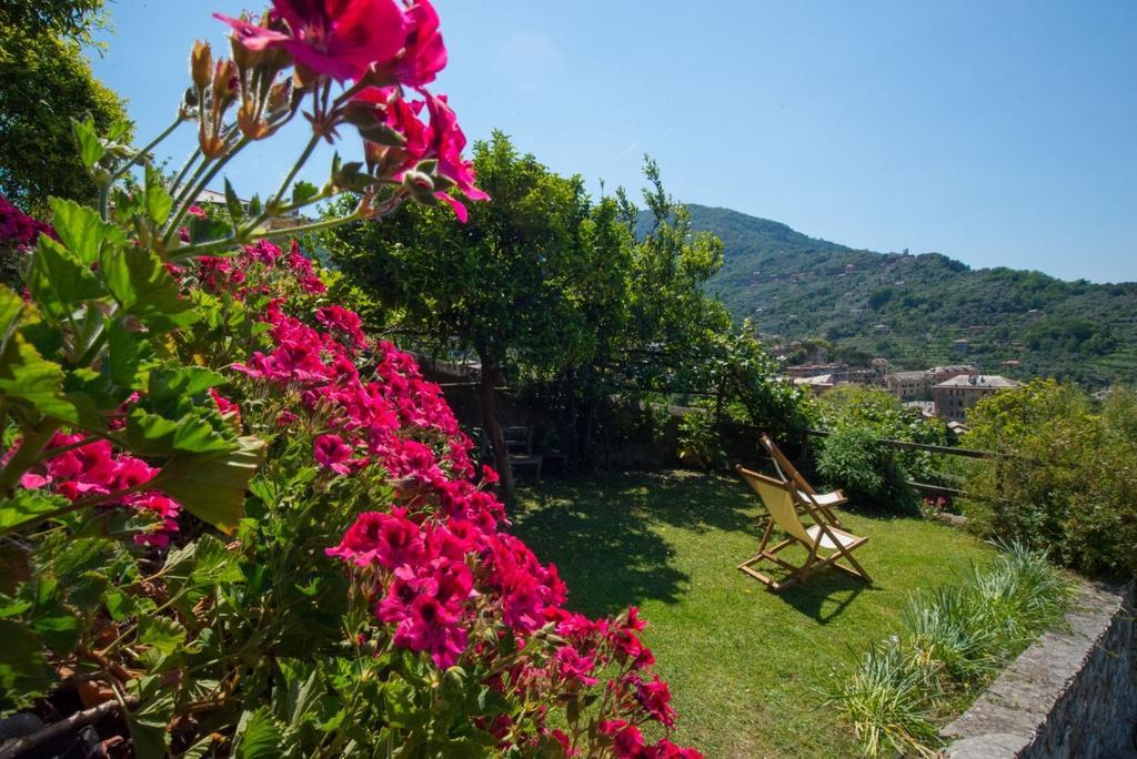 Le Clementine B&B Camogli Exterior foto